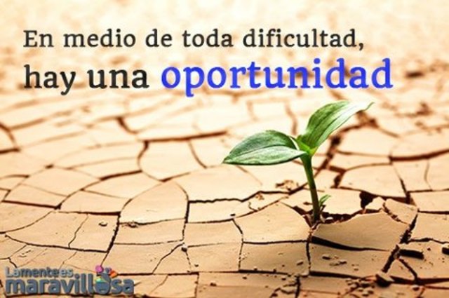 6.	SESSIÓ 19, 20, 21, 22, 23, : Aspecte Psicològics: Afrontament de la malaltia i la discapacitat