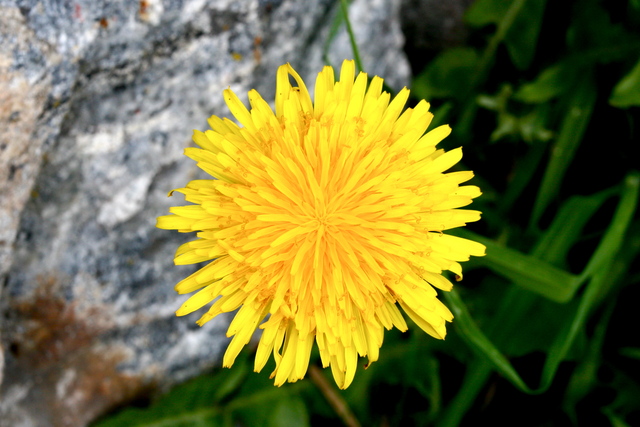 The following morning