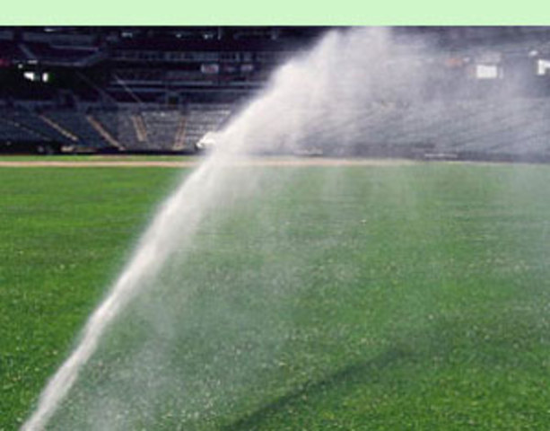 Plubming and Pipefitting Union begins working with Staidum