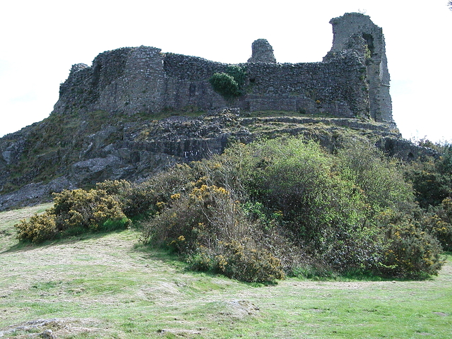 Montgomery Castle