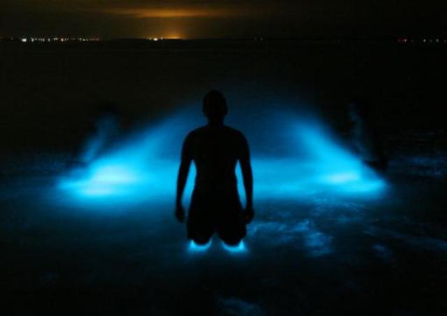 Atractivo Turistico De Lajas- La parguera - Bahia Bioluminicente