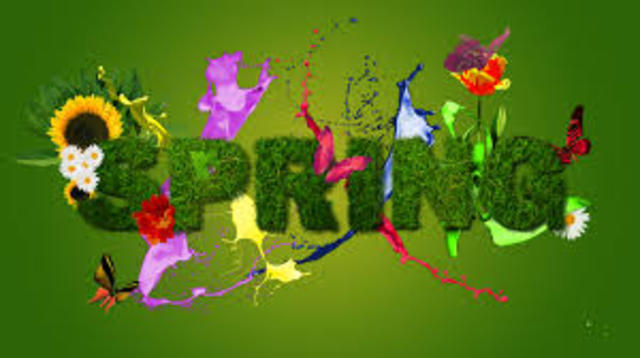 Spring Begins