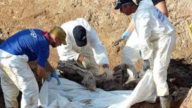 Comisión Forense Internacional