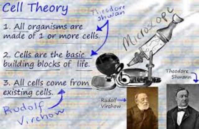 Cell Theory