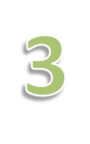 Culminación de la preparatoria