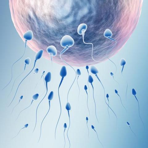 sperm cells and egg cells are also cells