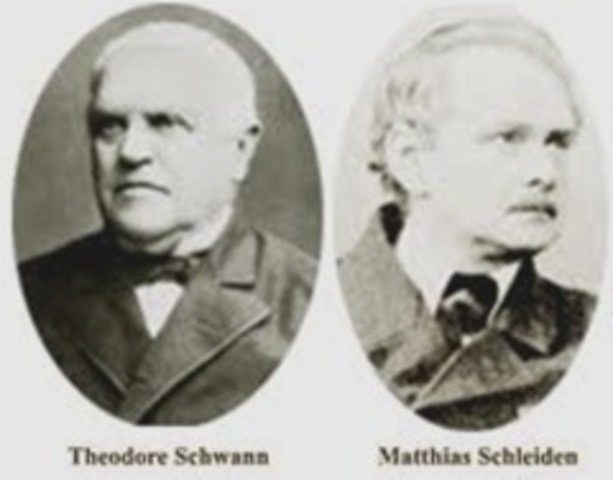Matthias Schleiden & Theodor Schwann proposed cell theory