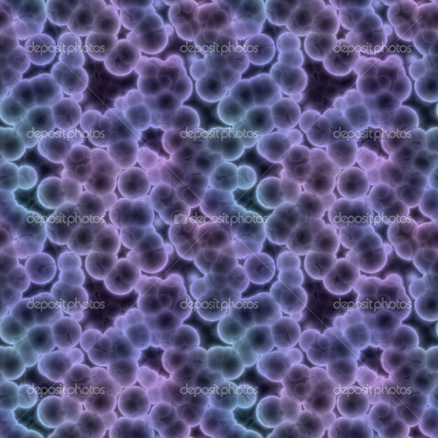 Cells Were Introduced To Science