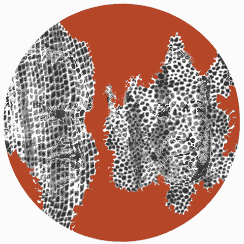 proposed all the plants