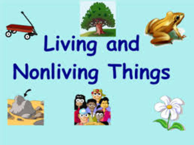 the thought that all living things come from nonliving organisms