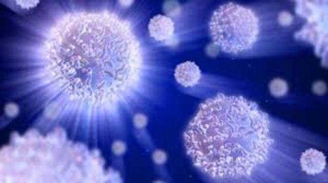 First cell was found