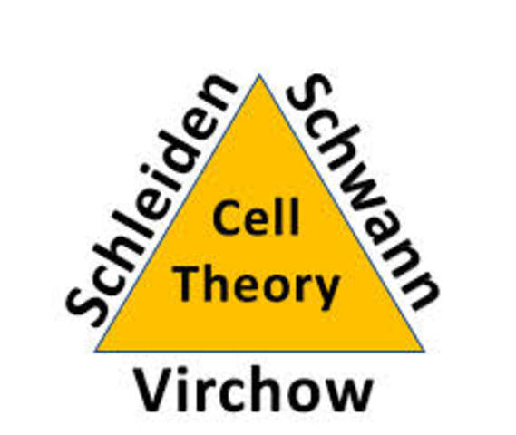 discovered cell theory