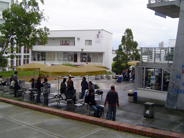 Programa de Diseño Grafico