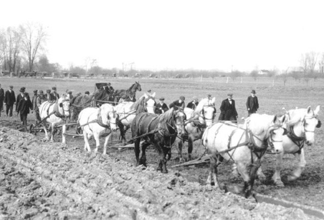 Morrill Land Grant Act of 1862