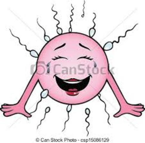 discovered that sperm and egg cells are also under the catergory of cells