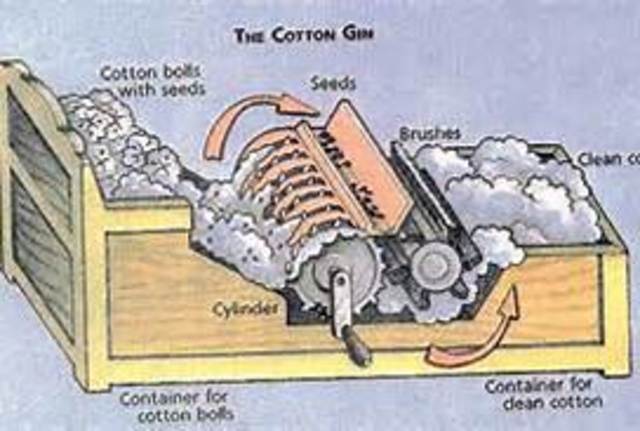 Cotton Gin Mania!