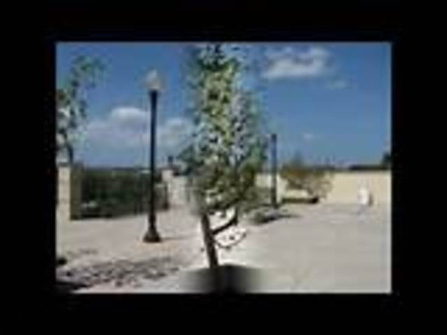 resena de himno de hormiguero