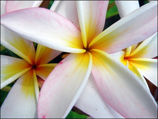 EME 6457: Assignment 4