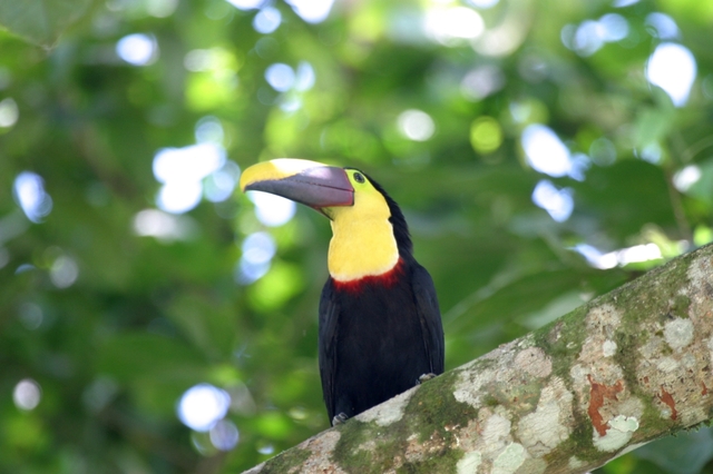 EME 6457: Assignment 5