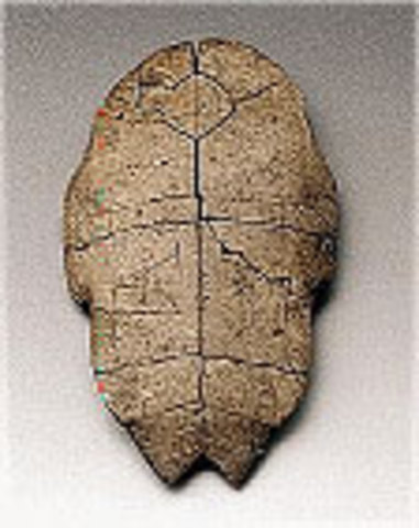 Enonomics in the Shang Dynasty