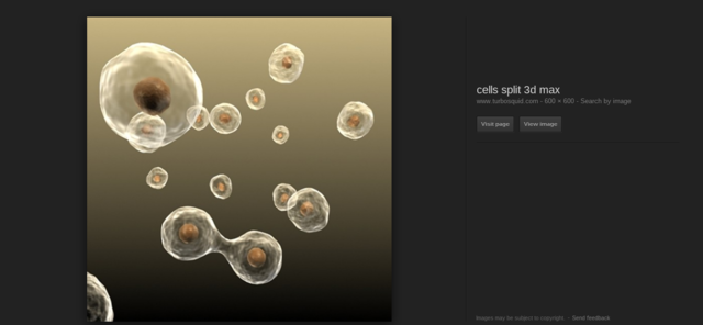 All Cells Come From Another Cell