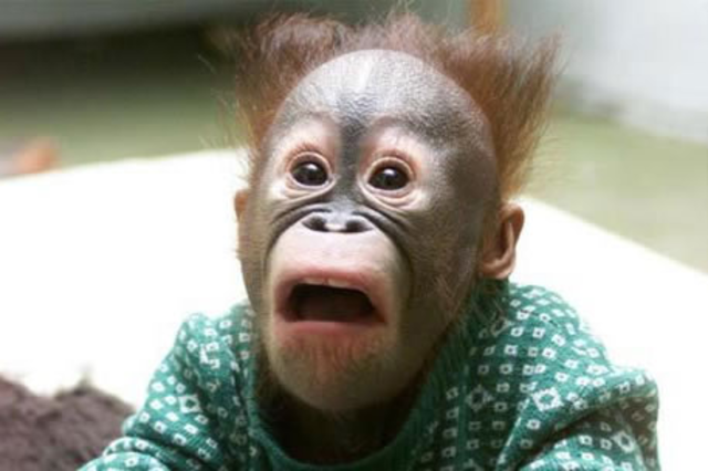 first American death