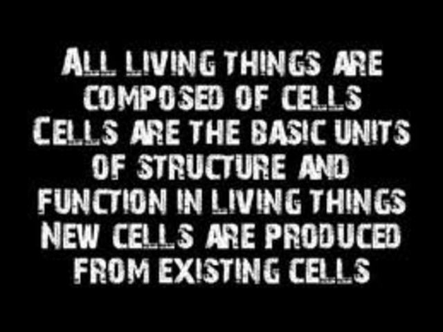 Cell theory starts to become an idea.