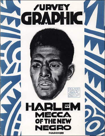 Magazine Survey Graphic