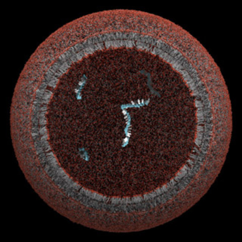 Robert Hooke and the First Cell