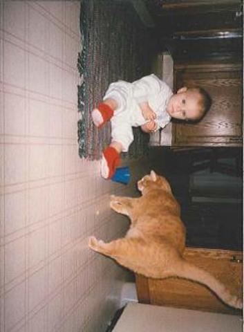 Mi gato primer, Willie