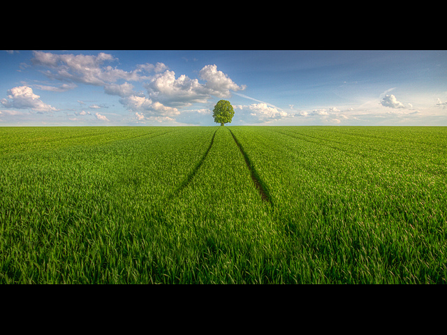 Reasons i am moving west