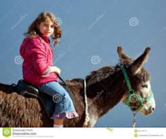 Me llevé un gran susto.