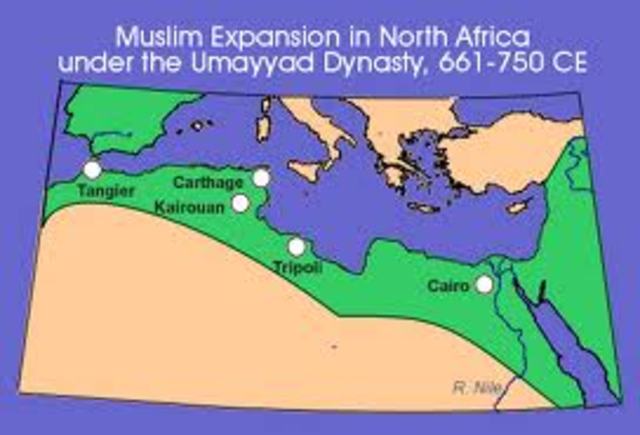 Umayyad dynasty