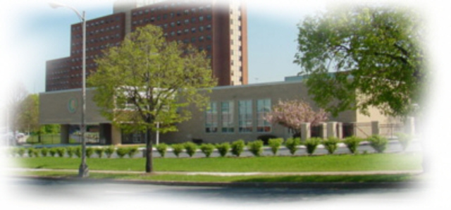 Started teaching at MSA