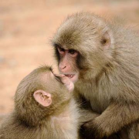 My popularity increases, but in a negative way