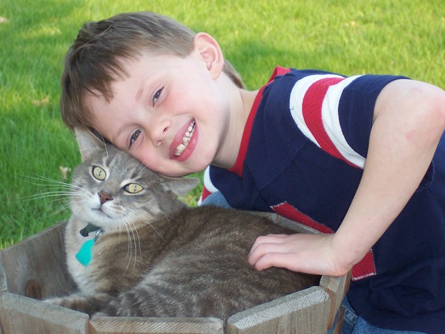 Yo Jugaba con Mi Gato