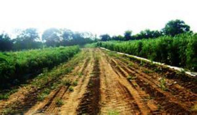 Finally Something Good