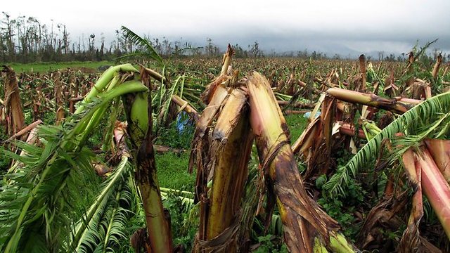 Struggles on the New Land