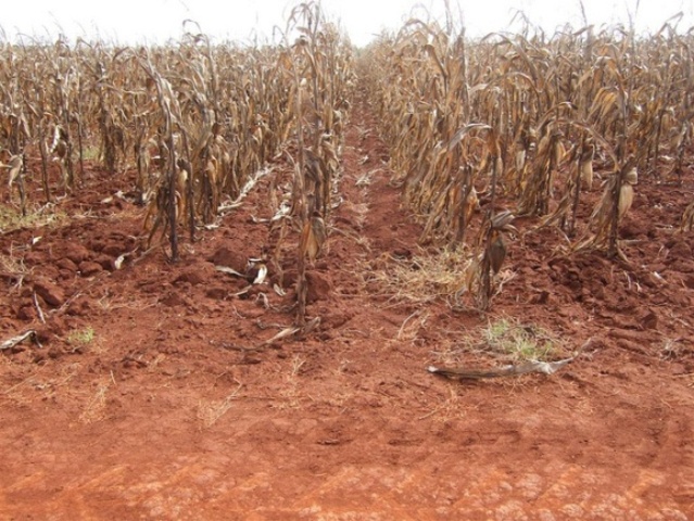 Goodbye Italy, Hello America!