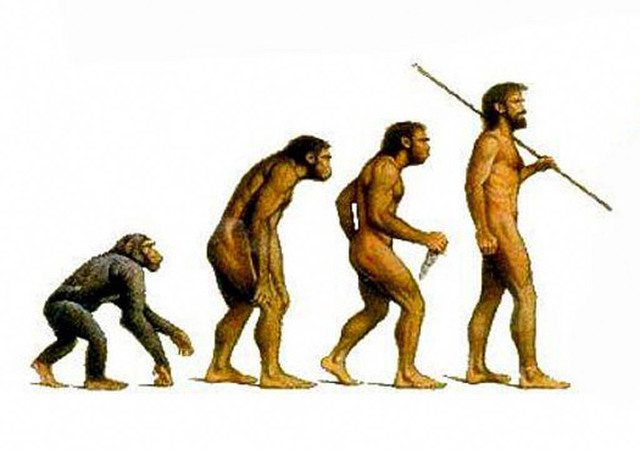 Teoría de la evolución "Publicación El orgien de las especies"