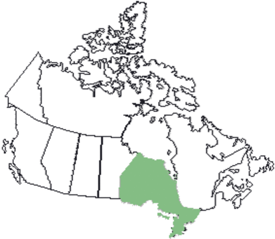 Ontario joins confederation.