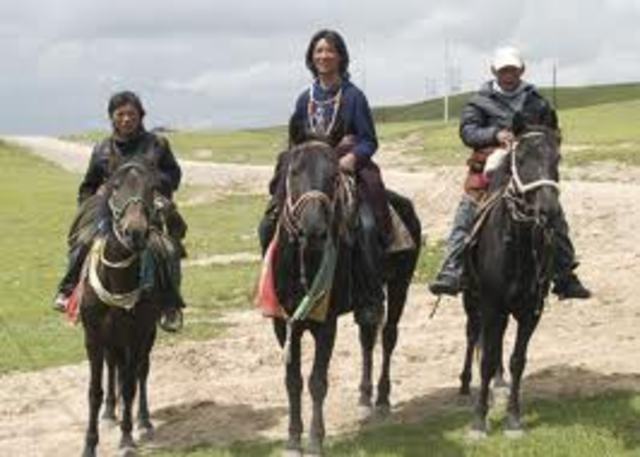 Culture (Mongol nomadic way of life)