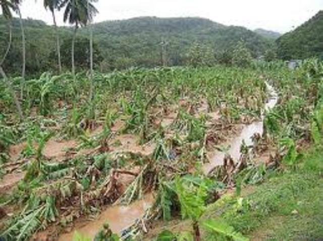 Puritan go to war against New England Indians