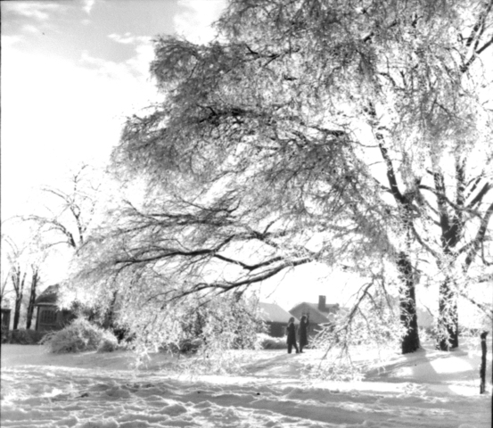 The Midwest Snow Storm of 1951