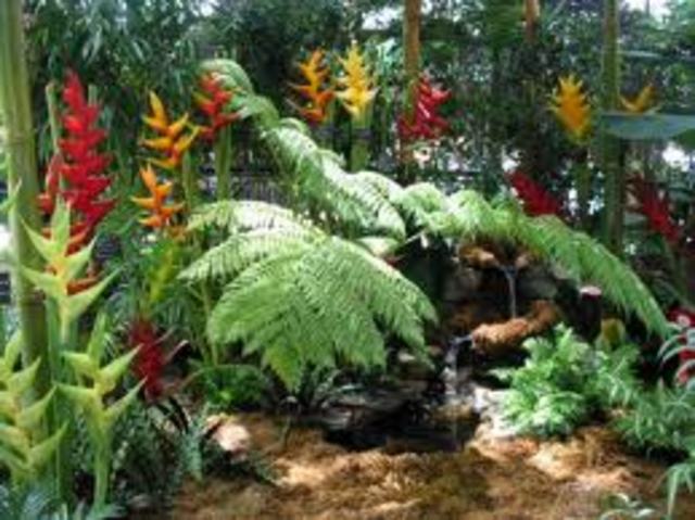 tradicion y costumbre