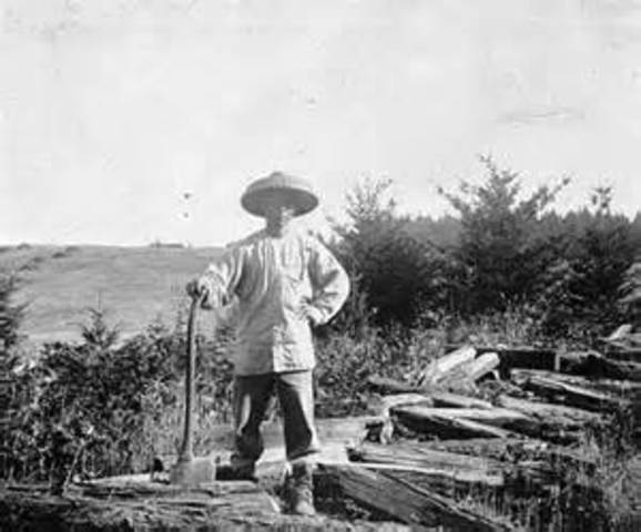 Why are we Immigrating?