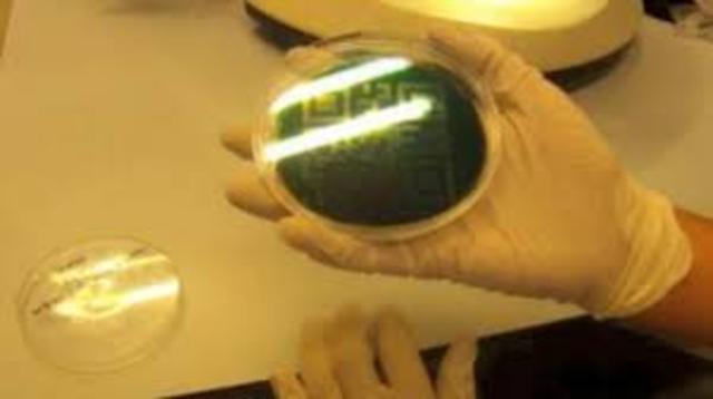 Ciencia y Supervivencia