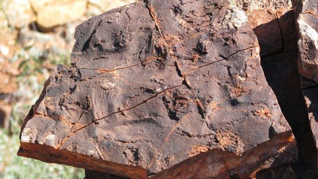 Evidence of 3.5-billion-year-old Bacterial Ecosystems May Be Earliest Sign of Life on Earth