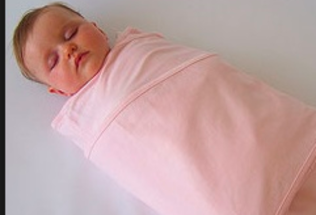 Vincent Van Gogh was born