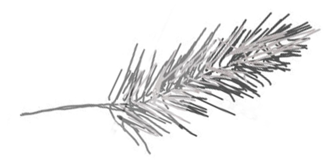 Law of April 6, 1830